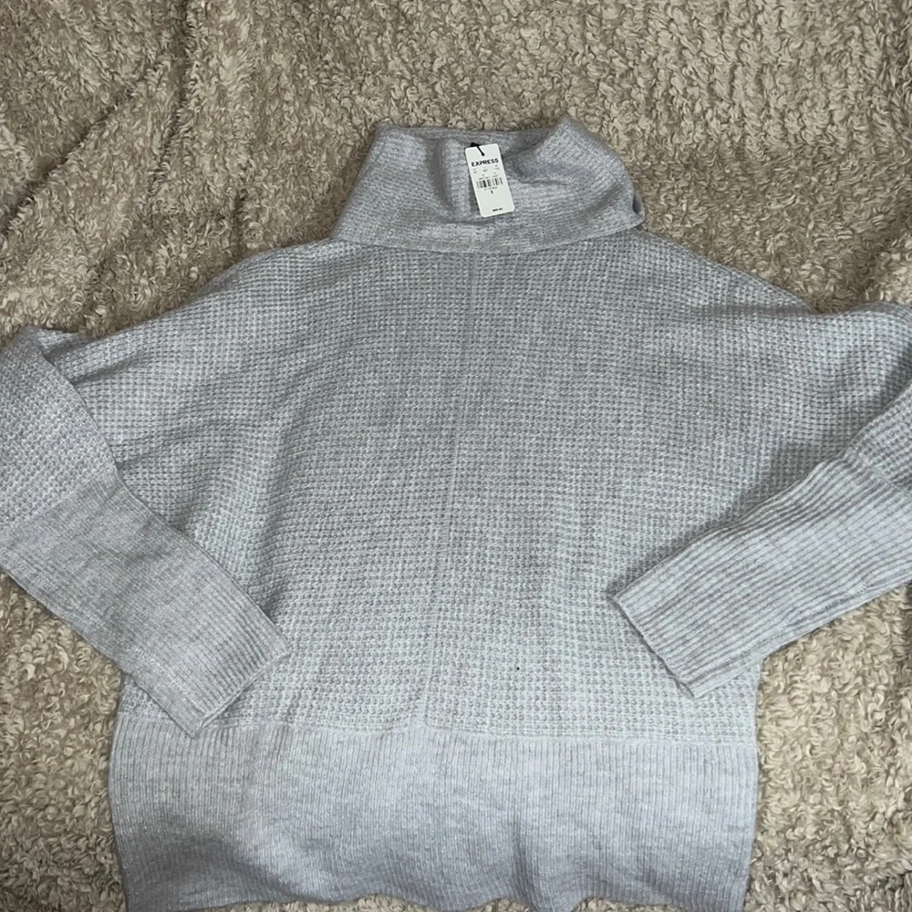 EXPRESS sweater NWT